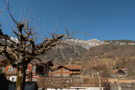 Téléchargez les photos : Brienz, Suisse, 10 février 2023 Panorama de montagne sur le magnifique lac de Brienz par une journée ensoleillée - en image libre de droit