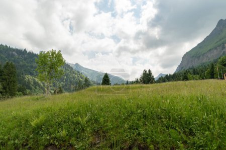 Foto de Waegital, Canton Schwyz, Suiza, 13 de junio de 2023 Green meadow at the coast of the fascinating Waegitalersee with the beautiful alps in the background - Imagen libre de derechos
