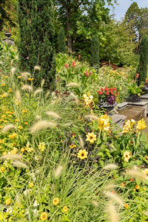 Téléchargez les photos : Mainau, Allemagne, 20 juillet 2023 Des fleurs fascinantes et différentes plantations dans un joli parc - en image libre de droit