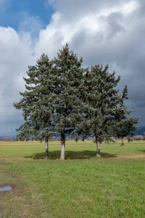 Téléchargez les photos : Ruggell, Liechtenstein, 10 mars 2023 Paysage naturel par temps nuageux dans la vallée du Rhin - en image libre de droit