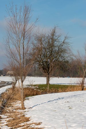 Téléchargez les photos : Altenrhein, Suisse, 7 décembre 2023 Majestueux paysage d'hiver par une journée ensoleillée - en image libre de droit