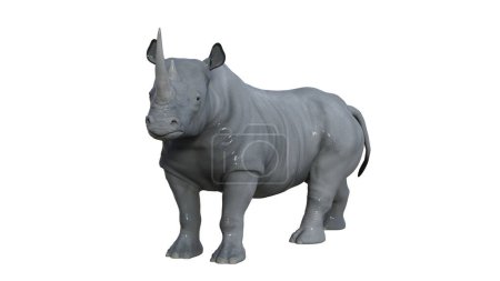 Rhinoceros animal illustration 3d rendering