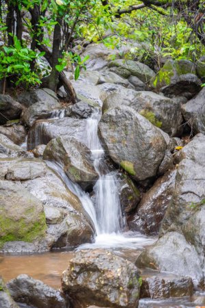 Foto de Pequeñas cascadas en el bosque - Imagen libre de derechos