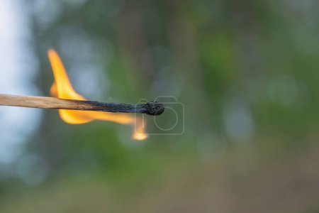 Photo for Fire danger in the forest. A burning match. Matchstick close up - Royalty Free Image