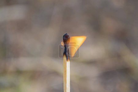 Photo for A close-up of a burning match. Fire from a match. Fire safety - Royalty Free Image