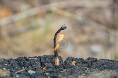 Foto de Una cerilla ardiente. Un incendio en el bosque. Peligro de incendio - Imagen libre de derechos