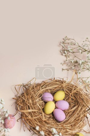 Téléchargez les photos : Bannière verticale pour les vacances de Pâques. Oeufs colorés dans un nid de paille et fleurs blanches de printemps sur un fond bleu. Endroit pour le texte. Vue du dessus. - en image libre de droit