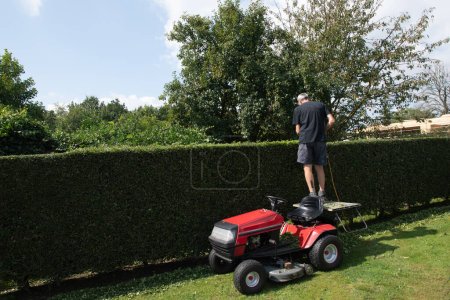 Un jardinero o trabajador utiliza soportes para cortar recortasetos de gasolina mientras está de pie en una cortadora de tractores en lugar de una escalera, foto de alta calidad. Foto de alta calidad