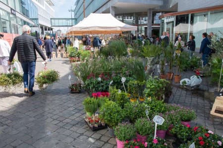 Téléchargez les photos : Les gens marchent parmi la variété de choix de fleurs au marché de la place centrale à Maastricht, Pays-Bas, le 27 août 2021. Photo de haute qualité - en image libre de droit