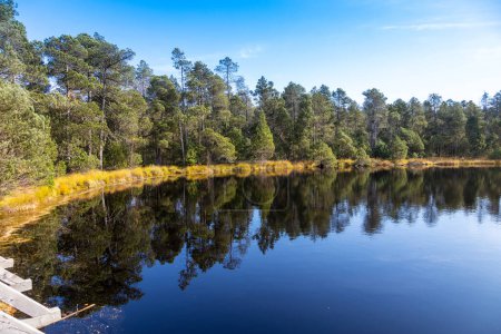 Foto de Gran Lago Moss, reserva natural Rejviz, Montañas Jeseniky, República Checa - Imagen libre de derechos