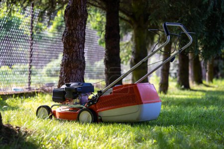 Photo for Lawn mower set in the shade of coniferous trees. Delicately blurred background, shot on a sunny day. - Royalty Free Image