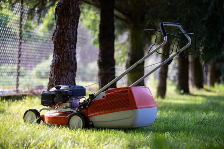 Photo for Lawn mower set in the shade of coniferous trees. Delicately blurred background, shot on a sunny day. - Royalty Free Image