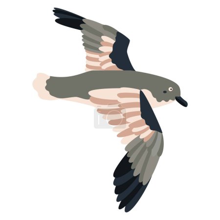 Mignon, oiseau pétrel dessin animé. Illustration vectorielle plate isolée sur fond blanc.
