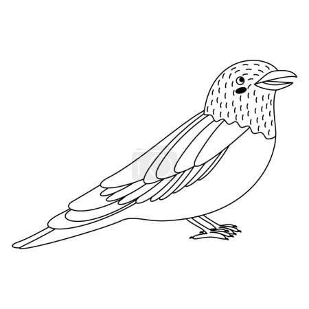Illustration for Cute, cartoon coracias garrulus bird. Line art. Vector illustration isolated on white background. - Royalty Free Image