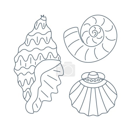 Illustration for Set of diverse sea shell, aquatic life animals in flat cartoon style. Vector illustration isolated on white background. - Royalty Free Image
