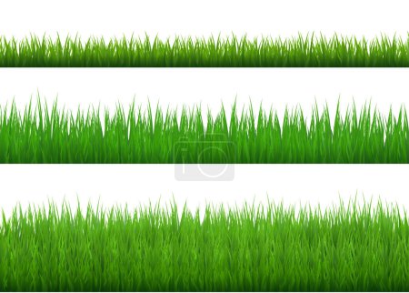 Illustration for Green Grass Borders Set on transparent background. Vector Illustration - Royalty Free Image