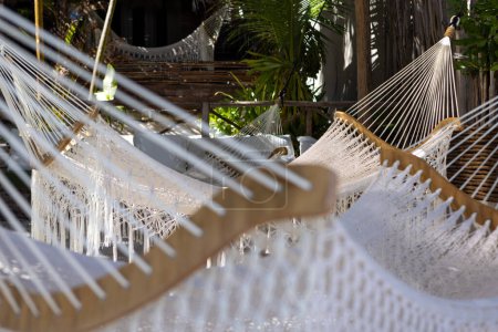Téléchargez les photos : Hammocks for relaxing. Vacation background. High quality photo - en image libre de droit
