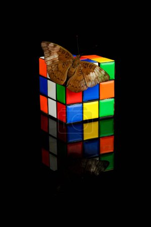 Photo for Pasuruan, Indonesia - April 20th, 2013 : toy cube called rubic with many colors perched by butterfly on a dark background - Royalty Free Image