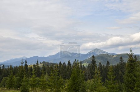 Foto de Una maravillosa vista de las laderas de la montaña de los Cárpatos, densamente cubierta de bosque verde y el monte Khomyak en el fondo, Ucrania - Imagen libre de derechos