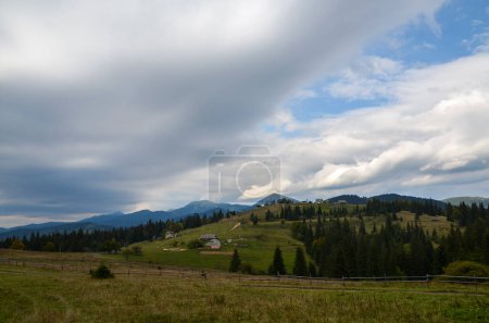 Photo for Beautiful green mountain forest and peaks of Khomyak and Synyak mountains on background. Carpathians, Ukraine - Royalty Free Image