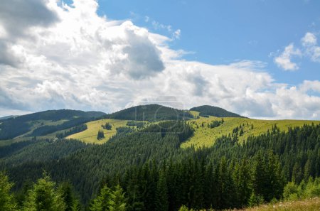 Paysage pittoresque avec des collines verdoyantes luxuriantes couvertes de forêts denses, affichant diverses nuances de vert sous le ciel bleu avec des nuages. Montagnes des Carpates, Ukraine 