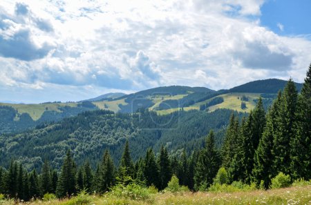 Paysage pittoresque avec des collines verdoyantes luxuriantes couvertes de forêts denses, affichant diverses nuances de vert sous le ciel bleu avec des nuages. Montagnes des Carpates, Ukraine 