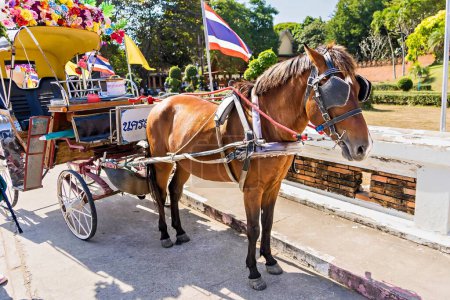 Téléchargez les photos : Lampang, Thaïlande - Décembre, 19, 2022 : Thaïlande, Chariot à cheval au temple Phrathat Lampang Luang à Lampang, Thaïlande. - en image libre de droit