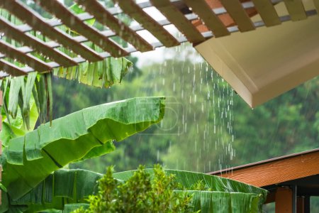 Fallender Regen vom Dach an einem regnerischen Tag. , fühlen Sie sich in Komfort tagsüber entspannt.Thailand.