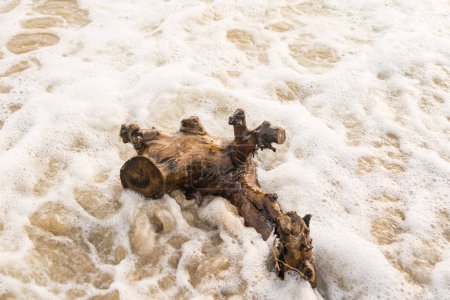 Foto de Madera a la deriva en la playa y las olas. - Imagen libre de derechos