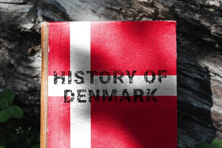 Foto de Portada de libro en los colores de la bandera danesa. Un libro de texto de la historia de Dinamarca. Foto de alta calidad - Imagen libre de derechos
