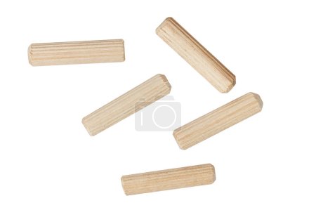 Photo for Furniture dowels isolated. Wooden dowels close up. High quality photo - Royalty Free Image