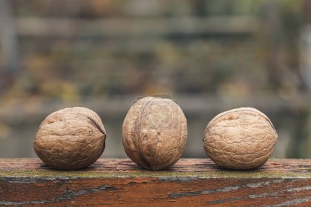 A few walnuts. Walnuts close-up. High quality photo