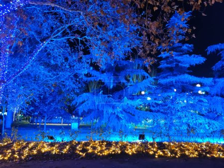 Téléchargez les photos : Arbres illuminés en bleu la nuit dans la décoration de Noël de torrejon de ardoz, madrid, espagne - en image libre de droit