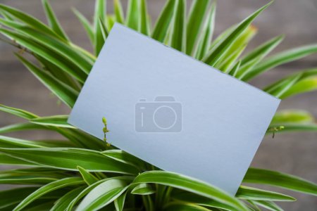 Téléchargez les photos : Modèle de carte de nom avec fond de fleur - en image libre de droit