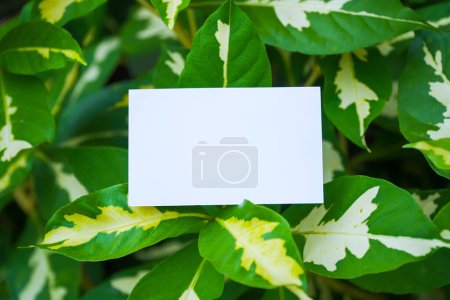Foto de Nombre tarjeta maqueta con fondo de flor - Imagen libre de derechos