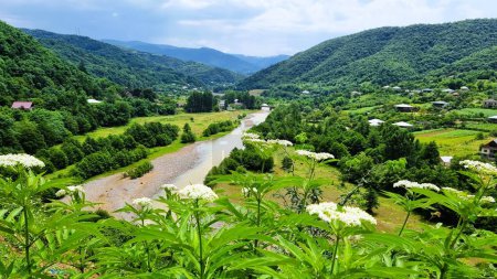 Ein atemberaubender Blick auf die wunderschöne Naturlandschaft in der Landschaft der Republik Georgien.
