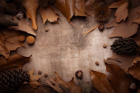 Photo for Autumn composition. Fall dried brown leafs, nuts, pine cones, chestnuts frame. Natural colours. Copy space in center. - Royalty Free Image