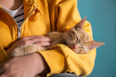 Niedliches rotes Kätzchen legt sich gemütlich auf die Hände seines Besitzers und schläft