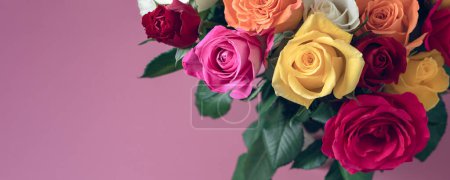 Foto de Ramo de rosas de colores. Hermoso ramo de rosas en variedad de colores sobre fondo rosa polvoriento con espacio para copiar, tamaño de la pancarta - Imagen libre de derechos