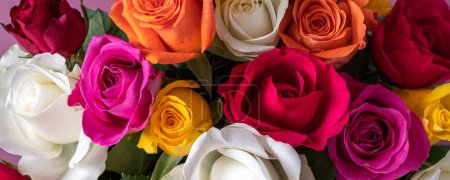 Foto de Ramo de rosas de colores. Hermoso ramo de rosas en variedad de colores sobre fondo rosa polvoriento con espacio para copiar - Imagen libre de derechos