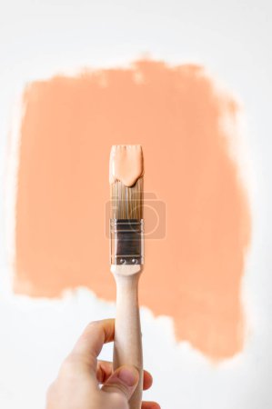 Prozess der Auswahl von Farbe für die Wände während der Renovierung des Hauses, Pfirsich Fuzz Farbe und Pinsel in Farbe, Farbe des Jahres 2024