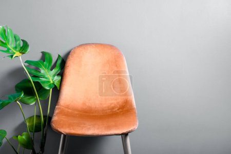 Moderner Velour Stuhl Peach Fuzz, Farbe des Jahres 2024 auf Holzbeinen, grauer Hintergrund