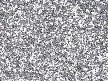 Photo for Silver glitter texture closeup. Saturated shiny holographic background for Christmas desktop, holiday New Year, party, social events, xmas seasonal decoration, greeting wedding invitation card element - Royalty Free Image