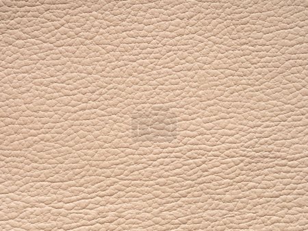 Beige leather texture. Background with copy space, top view. Genuine leather sample closeup in light tone. Backdrop textured effect for design, upholstered furniture, clothing. Faux eco leather.