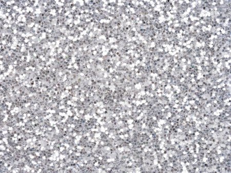 Photo for White glitter texture. Design pattern of holographic sparkling shiny glitter material for decoration and design of unusual, extravagant Christmas, New Year, xmas gift card or other holiday pictures. - Royalty Free Image