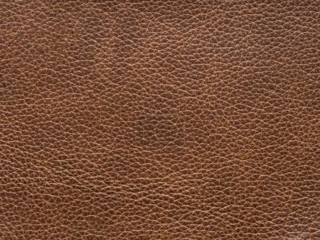 Photo for Beige or light brown color leather skin natural with design lines pattern or abstract background. Can use as wallpaper or backdrop luxury event. Genuine leather texture. Faux eco leather - Royalty Free Image