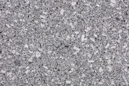 Photo for Beautiful Platinum White - granite background, new natural texture in elegant grey tone as part of your creative work. . Detail slab photo, matt pattern for perfect exterior, home design decoration - Royalty Free Image