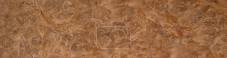 Esta imagen captura la intrincada belleza de una superficie de madera de chapa de roble, con sus complejos remolinos y ricos patrones que ofrecen una impresionante textura visual para entornos de diseño de lujo