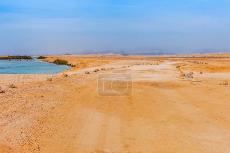 Photo for Sea coast and mangroves in the Ras Mohammed National Park. Famous travel destionation in desert. Sharm el Sheik, Sinai Peninsula, Egypt. - Royalty Free Image