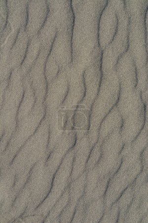 Téléchargez les photos : Gros plan du motif de sable gris volcanique d'une plage en été - en image libre de droit